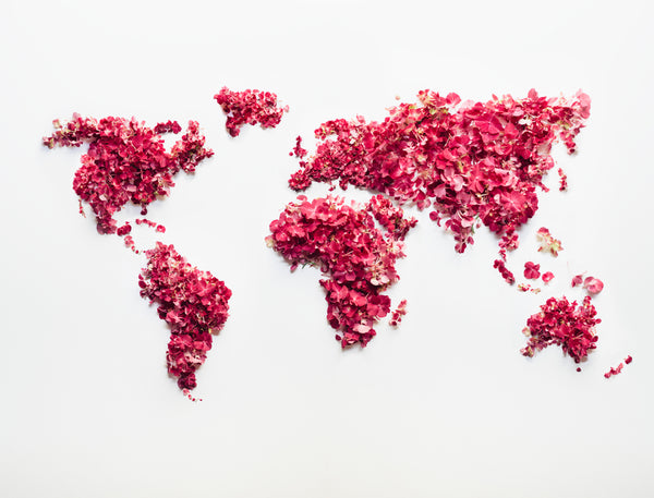 A Look at Global Access to Hygiene Products