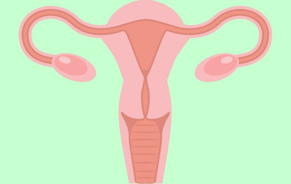 7 Lifestyle Changes that can Decrease the Risk of Ovarian Cancer