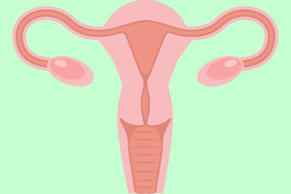 7 Lifestyle Changes that can Decrease the Risk of Ovarian Cancer