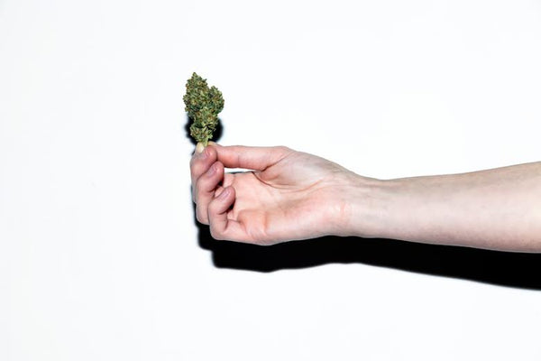 MG Asks: Do You/Would You Smoke Weed to Help With Your PMS?
