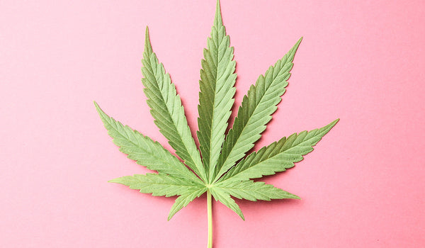 NY Women May Soon be Eligible for Medical Marijuana for Cramps